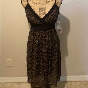 Nwt Roulette Black And Gold Lace Dress
